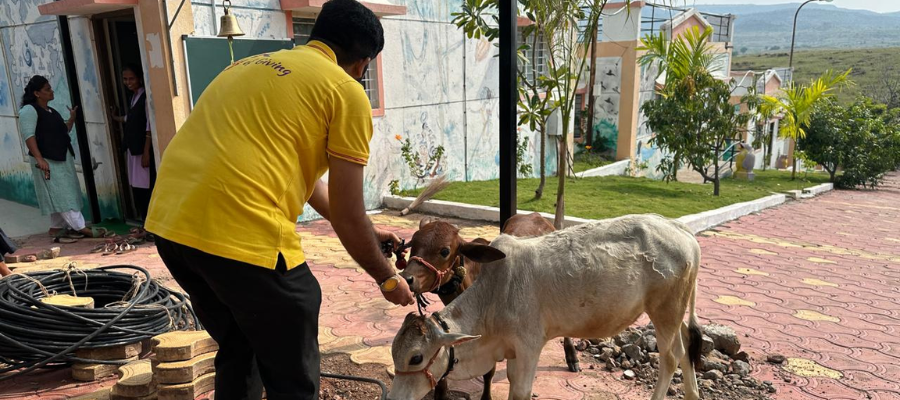 Gau Seva Donation in India