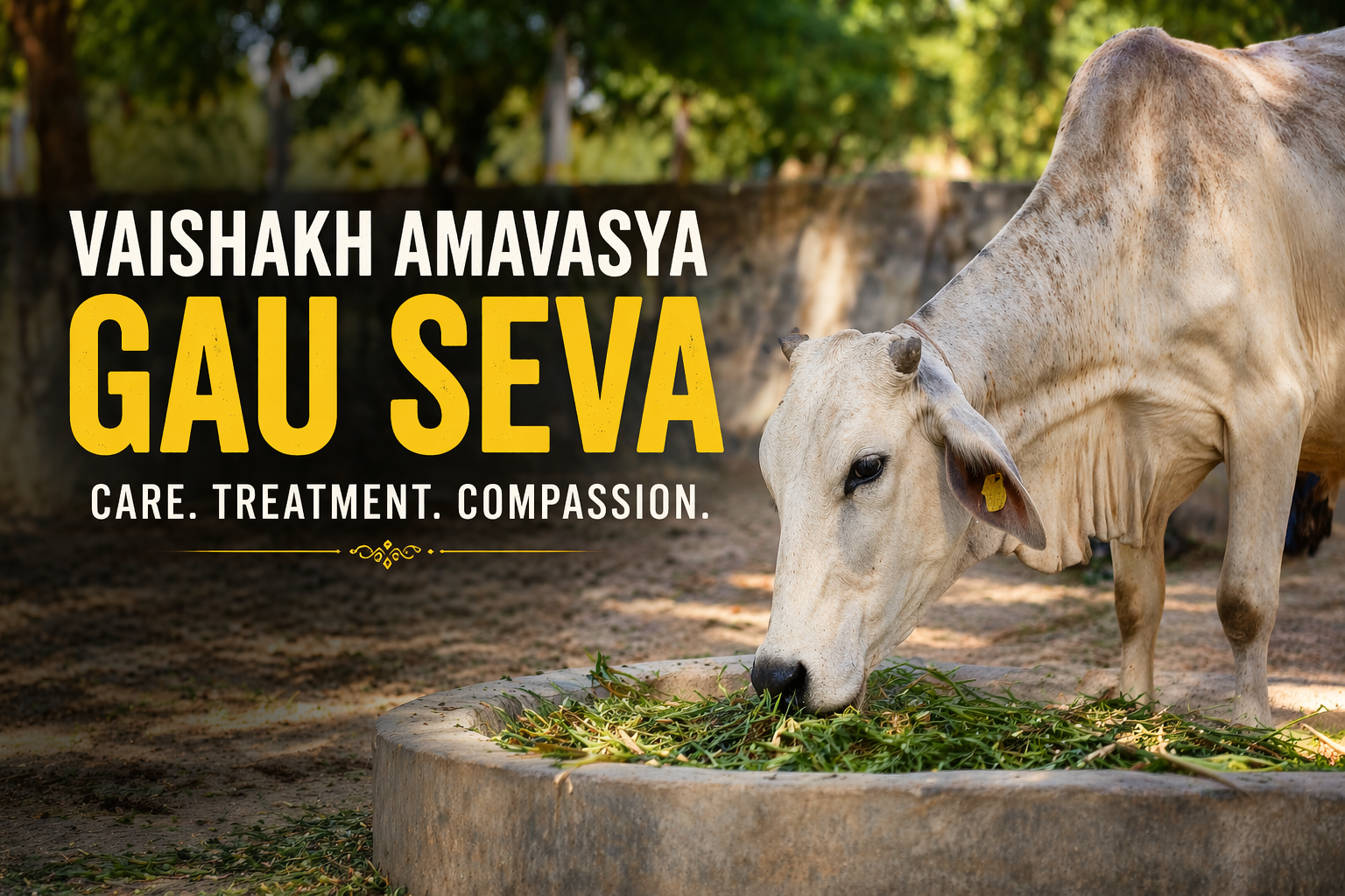 Vaishakh Amavasya Gau Seva Blessings