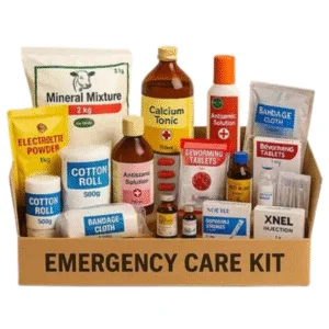 Emergency Kit